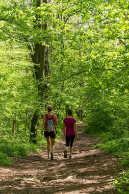 İki genç kız ormanda yürüyüş