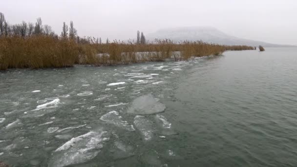 Paisaje invernal desde un lago Balaton (Hungría ) — Vídeos de Stock