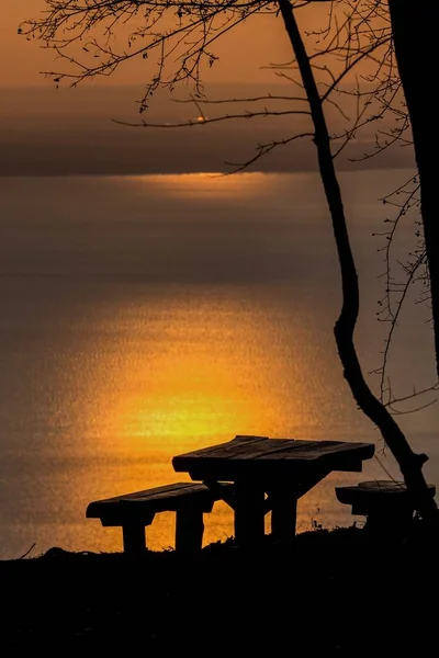 Belo pôr do sol com silhueta de árvore — Fotografia de Stock