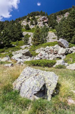 Manzara Vadisi Nuria İspanya'dan