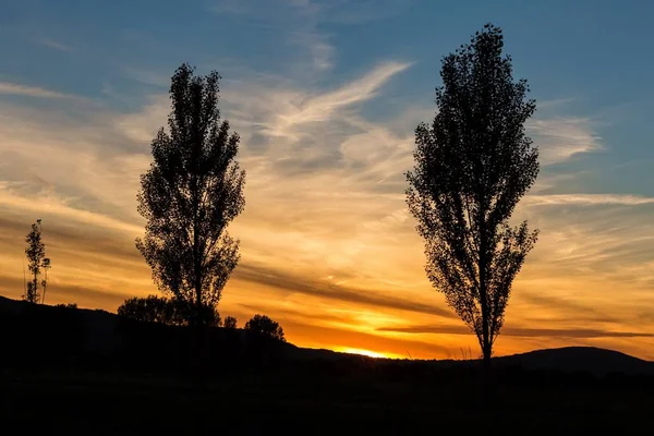 Beau paysage de coucher de soleil avec des arbres — Photo