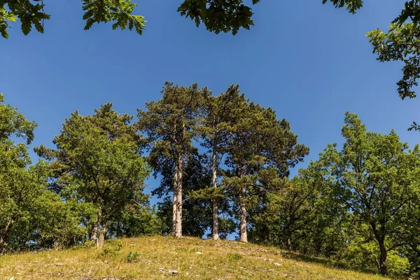 Landscape from Hungary — Stock Photo, Image