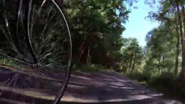 Motociclista en carretera — Vídeos de Stock