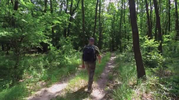 Turista caminando camino de tierra a través de un bosque verde — Vídeo de stock