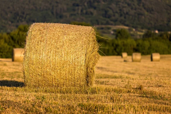 Straw bales in the light of sunset — Stock Photo, Image