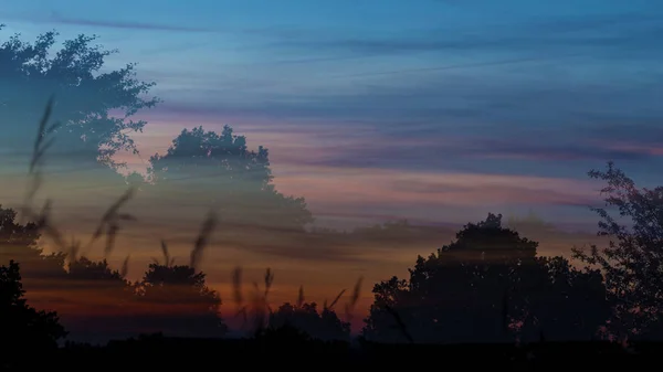 Prado en la hora de la puesta del sol (exposición múltiple ) — Foto de Stock