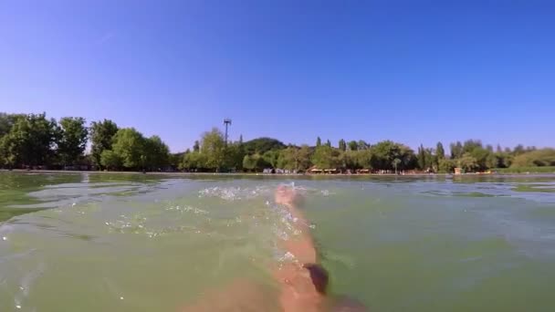 Man does backstroke while open water swimming — Stock Video