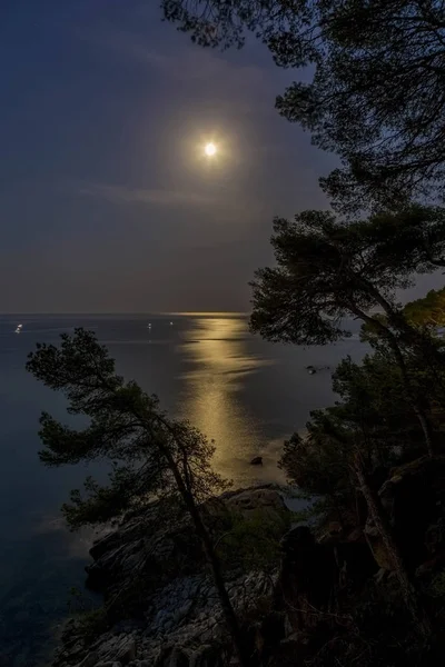 Nachtscène over de oceaan met maan — Stockfoto