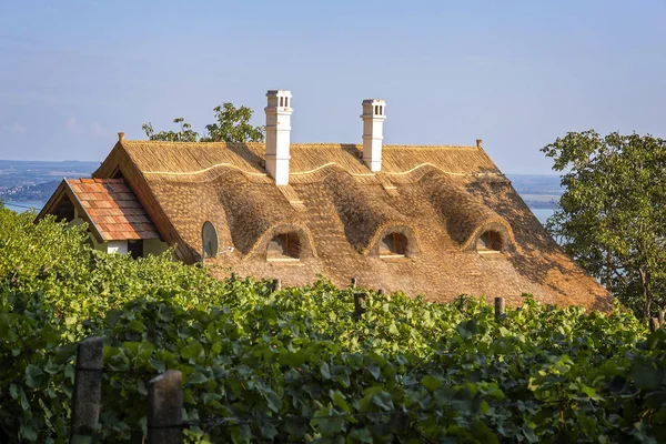 Maison typique avec toit en roseau en Hongrie — Photo
