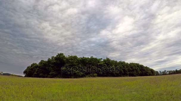 Imágenes de lapso de tiempo con nubes sobre los árboles — Vídeos de Stock