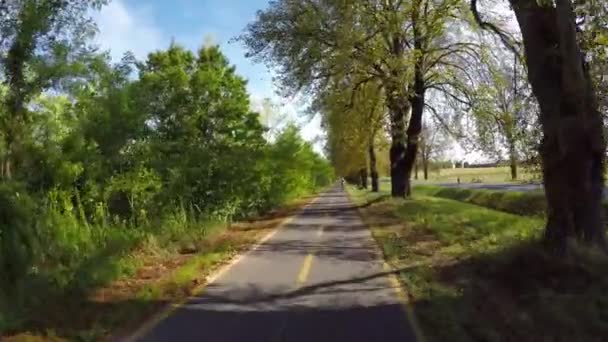 Велосипедная дорога между городами Хевиз и Кештхей в Венгрии — стоковое видео