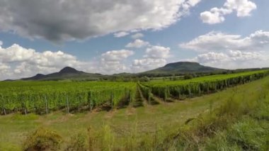 Manzara görüntüleri Gopro eylem cam bir üzüm ile