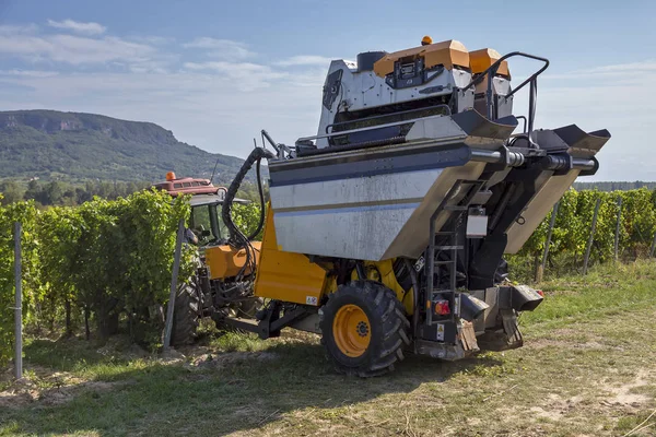 Maszyna do zbioru winogron działa jesienią — Zdjęcie stockowe