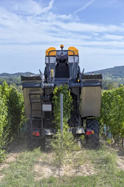 Maszyna do zbioru winogron działa jesienią — Zdjęcie stockowe