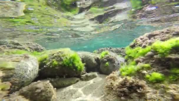 Filmagem subaquática com GoPro em Costa Brava, Catalunha, Espanha — Vídeo de Stock