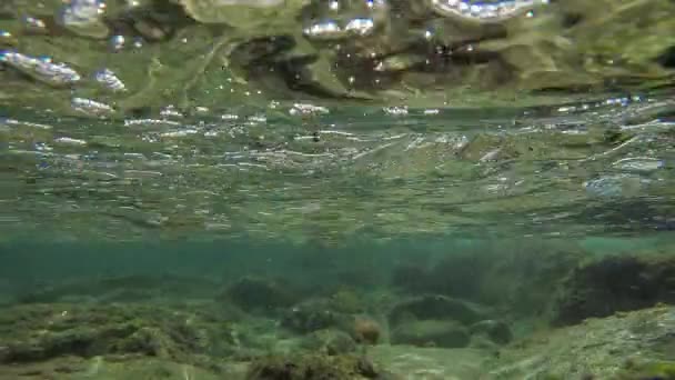 A mitad de camino fuera de la mitad en las imágenes del agua — Vídeos de Stock