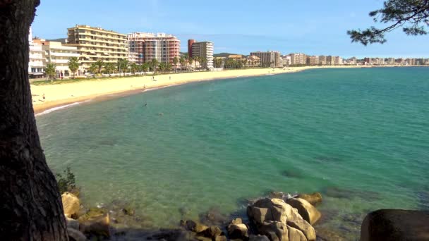 Detalle de la costa española en verano (Cataluña, Costa Brava), 4k — Vídeo de stock