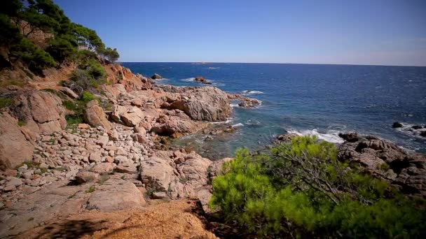 Detalhe da costa espanhola no verão (Catalunha, Costa Brava ) — Vídeo de Stock