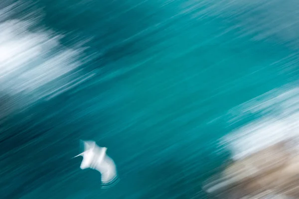 Abstract foto uit een zeemeeuw above, lange blootstelling — Stockfoto