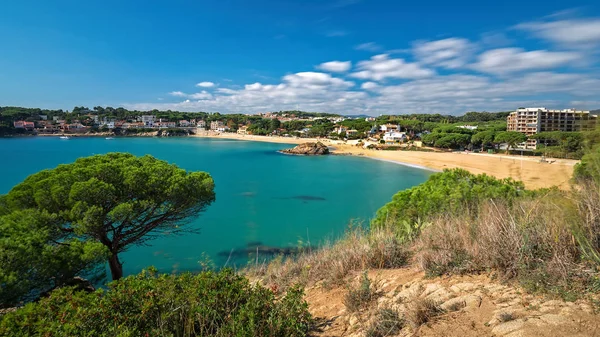 Detalhe da costa espanhola (Costa Brava, La Fosca ) — Fotografia de Stock