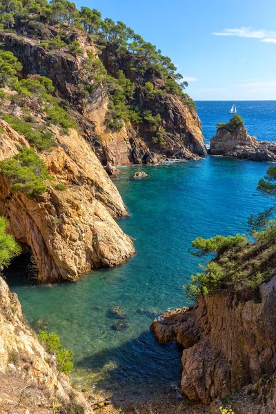 Bonito detalle de Costa Brava costera en España — Foto de Stock