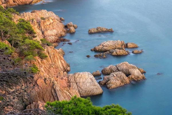 Nice detail from Costa Brava coastal in Spain — Stock Photo, Image