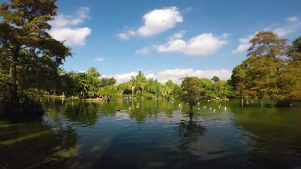 Ambiente agradável em Barcelona, em um Parc de Ciutadella em 4K, 15. Outubro de 2017, Espanha — Vídeo de Stock