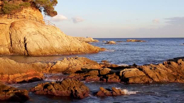 Detalhe da costa espanhola no verão (Catalunha, Costa Brava ) — Vídeo de Stock