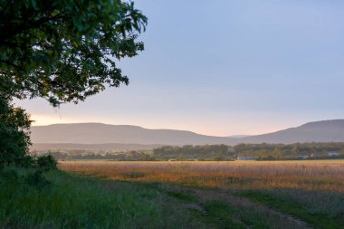 Günbatımı ışığı ile güzel manzara