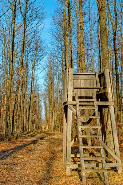 Hunter's stoisko w lesie jesienią — Zdjęcie stockowe