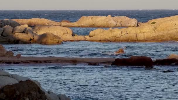 在夏天 （加泰罗尼亚、 布拉瓦海岸西班牙海岸的细节) — 图库视频影像