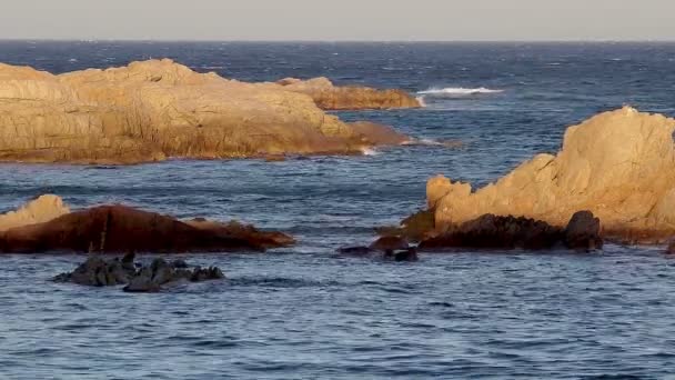 Деталь іспанським берегом на літо (Каталонія, Коста Брава) — стокове відео