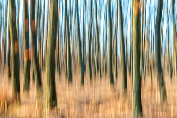 Imagem abstrata desfocada de uma floresta no Outono — Fotografia de Stock