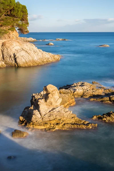 Bonito detalle de la costa española en la Costa Brava — Foto de Stock
