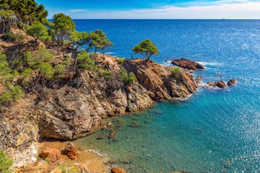 İspanya, La Fosca 'daki Costa Brava sahilinden güzel bir detay.