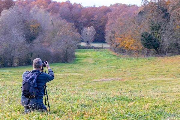 Photographer take pictures  of beech forest — Stock Photo, Image