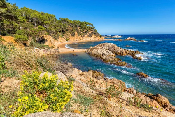 Bonito detalle de Costa Brava costera en España, La Fosca — Foto de Stock