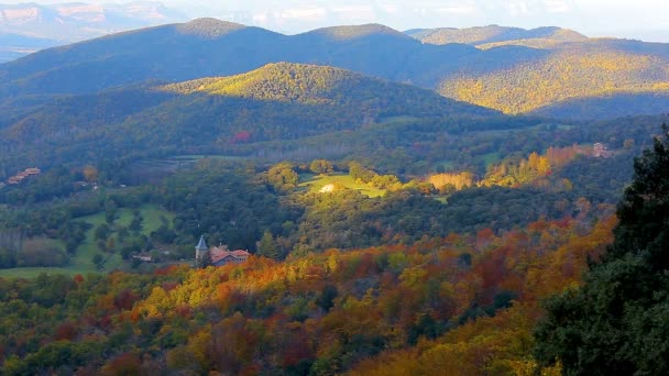 Paesaggio Della Foresta Panchina Autunno — Video Stock