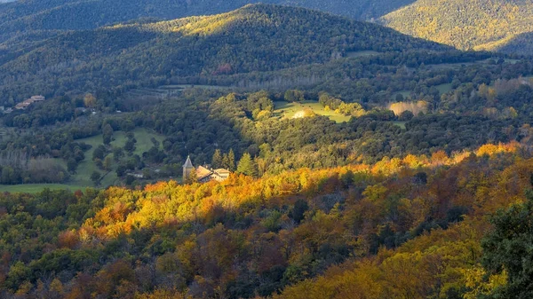 Beautifal 秋天山毛榉森林 en 山 Montseny 在西班牙 — 图库照片