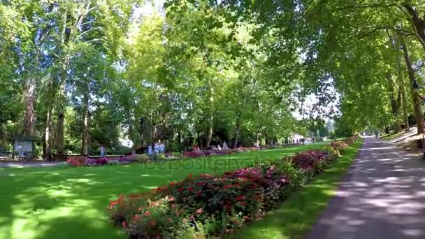 Nice Promenade Small Town Heviz Hungary Famous Hungarian Thermal Spa — Stock Video