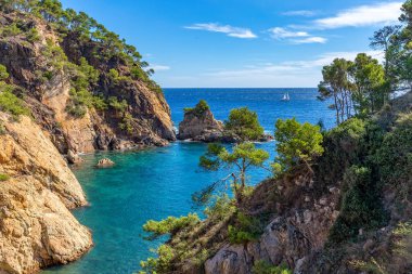 İspanya, La Fosca 'daki Costa Brava sahilinden güzel bir detay.