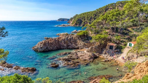 Bonito detalle de Costa Brava costera en España, La Fosca — Foto de Stock