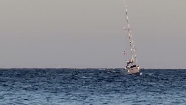 Spanya Denizde Yelkenli — Stok video