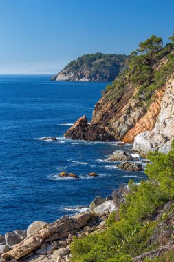 İspanya, La Fosca 'daki Costa Brava sahilinden güzel bir detay.