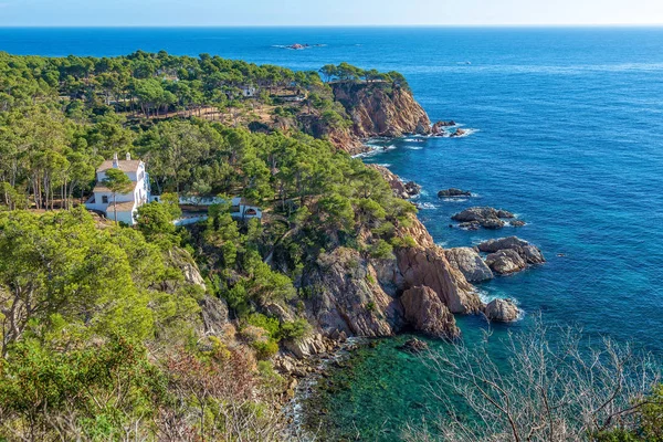 Bonito detalle de Costa Brava costera en España, La Fosca — Foto de Stock