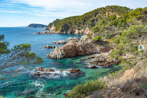 Bonito detalle de Costa Brava costera en España, La Fosca — Foto de Stock