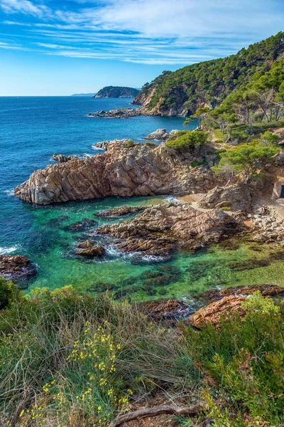Szép részlet Costa Brava tengerparti Spanyolország, La Fosca — Stock Fotó