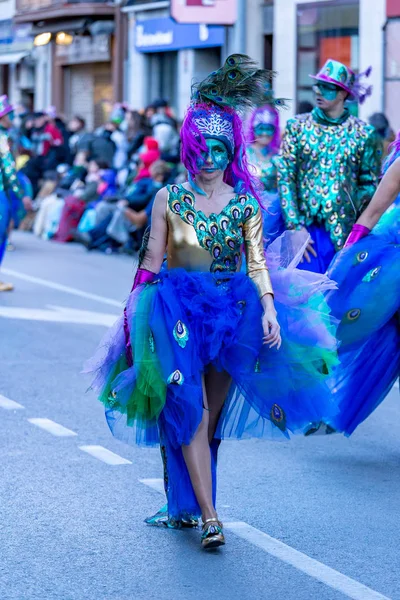 Palamos, España - 10 de febrero de 2018, tradicional desfile de carnaval en un pequeño pueblo Palamos, en Cataluña, en España  . — Foto de Stock