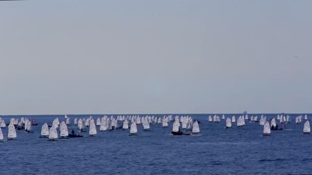29Th International Palamos Optimist Trophy 2018 13Th Nations Cup Feb — Stock Video