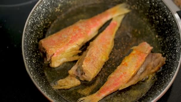 美味的海鱼在平底锅 — 图库视频影像